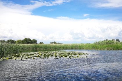 putini turisti se incumeta la plimbari cu caiacul in delta dunarii pe timp de iarna 675fdc67cddb3