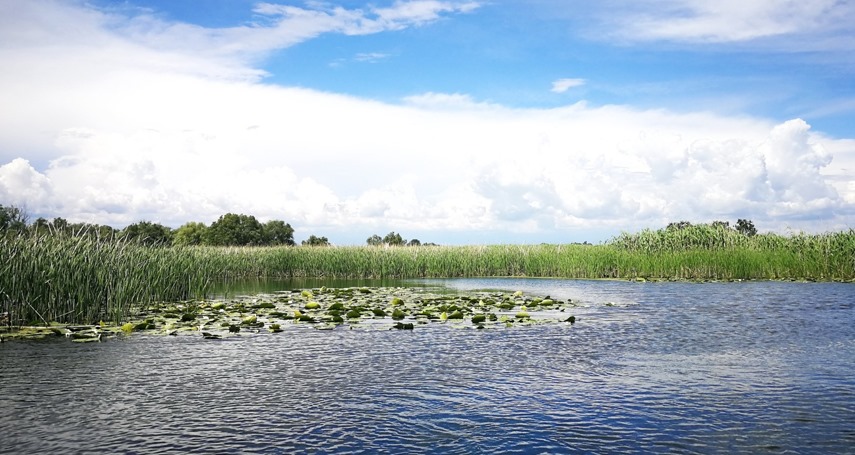 putini turisti se incumeta la plimbari cu caiacul in delta dunarii pe timp de iarna 675fdc67cddb3