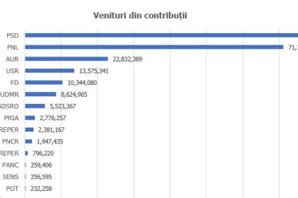 sursa veniturilor finantarii campaniei electorale pentru alegerile parlamentare documente 67643623be4b6