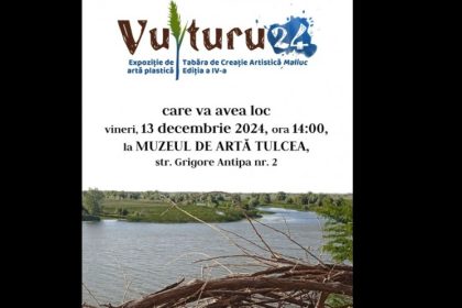 vernisajul lunii la muzeul de arta tulcea vulturu 24 674de7035520a