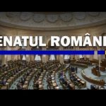 biroul permanent al senatului se reuneste pentru convocarea marti a unei sesiuni extraordinare 678f41bed5292