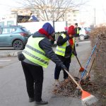 in poarta 6 gardul viu uscat si degradat este inlocuit imagini de la lucrari foto 67924aff145ee