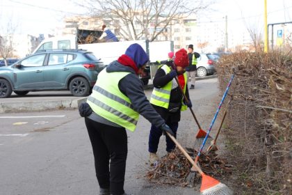 in poarta 6 gardul viu uscat si degradat este inlocuit imagini de la lucrari foto 67924aff145ee