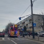 pompierii au intervenit pentru a salva o pisica dintr un copac de pe bulevardul i c bratianu 6777ccd3d725e