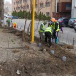 primaria constanta spatiile verzi din municipiu au nevoie de ingrijire corecta si constanta 6792499ac06b6