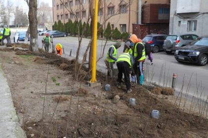 primaria constanta spatiile verzi din municipiu au nevoie de ingrijire corecta si constanta 6792499ac06b6