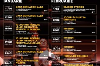 programul spectacolelor teatrului de stat constanta in lunile ianuarie si februarie 677bdc47d8b9e