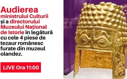 raspunsul mnir la acuzatiile aduse expozitia din olanda nu a fost pretul integrarii noastre in schengen a fost un mijloc de diplomatie culturala 679895e6e5b1b