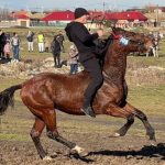 rugbyst si militar sorin pandichi a participat la cursa de la botezul cailor 2025 adrenalina la maximum galerie foto 677d41bd8c14d