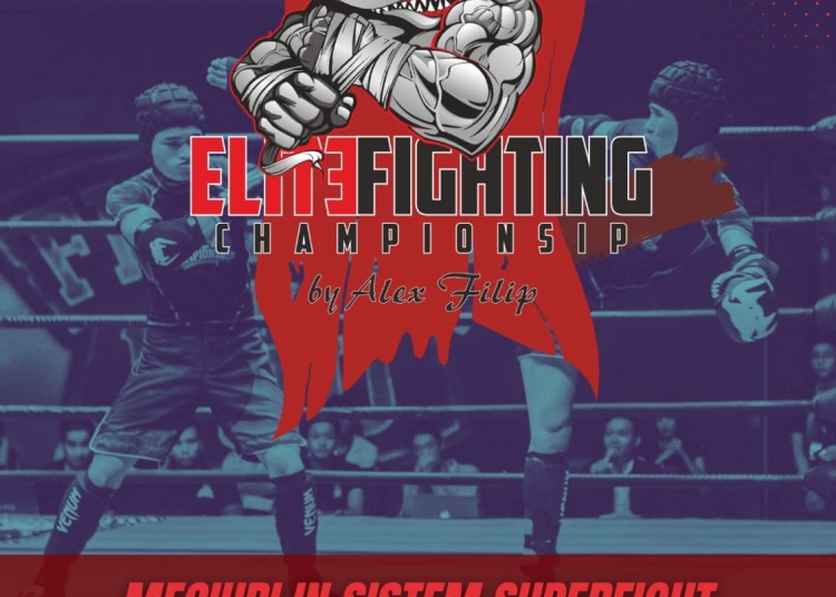 video alex filip prezinta elite fighting championship 6792012c845ad