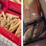 video protectia consumatorilor a descins in piata tomis iii mai multe locatii au fost inchise temporar falsi producatori de legume si fructe si pericol pentru sanatate la produsele din carne si pes 679bf5fd19fd7