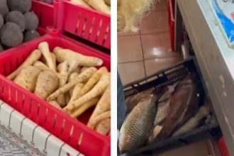 video protectia consumatorilor a descins in piata tomis iii mai multe locatii au fost inchise temporar falsi producatori de legume si fructe si pericol pentru sanatate la produsele din carne si pes 679bf5fd19fd7