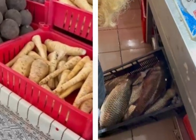 video protectia consumatorilor a descins in piata tomis iii mai multe locatii au fost inchise temporar falsi producatori de legume si fructe si pericol pentru sanatate la produsele din carne si pes 679bf5fd19fd7