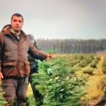 video seful ocolului silvic branesti sfaturi pentru replantarea bradului de craciun nu trebuie sa asteptam pana in luna martie daca solul nu este inghetat bradutul poate fi replantat in gradini 6788ebe43b60f