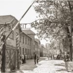 ziua internationala de comemorare a victimelor holocaustului 80 de ani de la eliberarea auschwitz 67974f06288e1