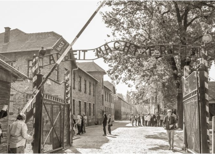 ziua internationala de comemorare a victimelor holocaustului 80 de ani de la eliberarea auschwitz 67974f06288e1