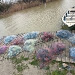 900 metri de plase monofilament si peste 200 de kg de peste descoperita in lacul leahova de catre politistii de frontiera din tulcea foto 67a1e60302550