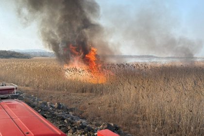 fotovideo incendiu produs la vegetatie stuficola in apropiere de localitatea somova judetul tulcea 67acb32ab4288