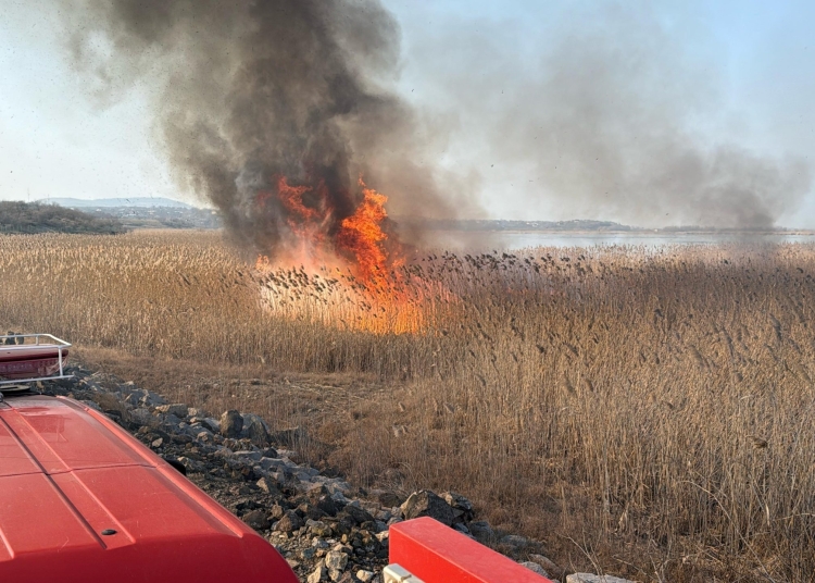 fotovideo incendiu produs la vegetatie stuficola in apropiere de localitatea somova judetul tulcea 67acb32ab4288