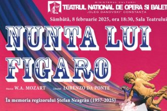 nunta lui figaro pe scena teatrului national de opera si balet oleg danovski din constanta 67a75a2136bff