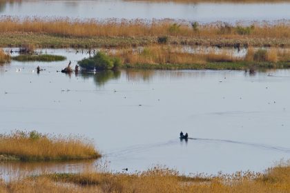 pescarii comerciali din delta dunarii au depasit cota la stiuca 67a206dca3769