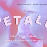 petale o noua expozitie de fotografii minunate flori in forme si culori unice pot fi admirate la jean constantin 67bfa34dc36b8