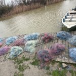 plase monofilament de aproape 1000 de metri cu peste 200 de kg de peste capturat descoperite in lacul leahova de catre politistii de frontiera tulceni 67a1e59524160