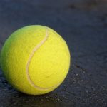 romania invinsa la tenis de bulgaria cu 3 1 in cupa davis 679e3d7cb38c3