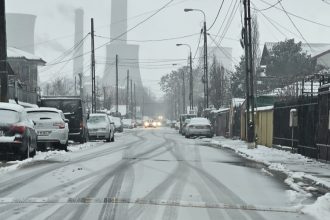 afecteaza traficul sau salveaza pietonii limitatoarele de viteza starnesc nemultumirea constantenilor 67c2385dd1d97