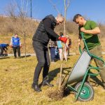 galerie foto mii de arbori si arbusti au fost plantati in cel mai amplu eveniment de plantare din navodari 67ced126427e7