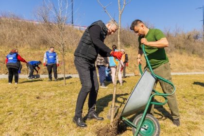 galerie foto mii de arbori si arbusti au fost plantati in cel mai amplu eveniment de plantare din navodari 67ced126427e7