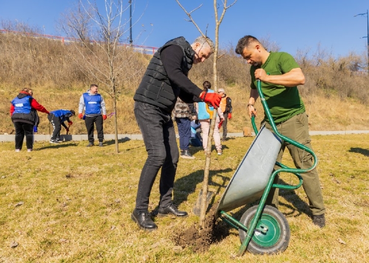 galerie foto mii de arbori si arbusti au fost plantati in cel mai amplu eveniment de plantare din navodari 67ced126427e7