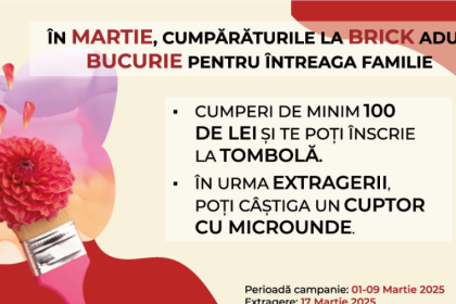 in martie cumparaturile la brick aduc bucurie pentru intreaga familie 67c95429cdc35