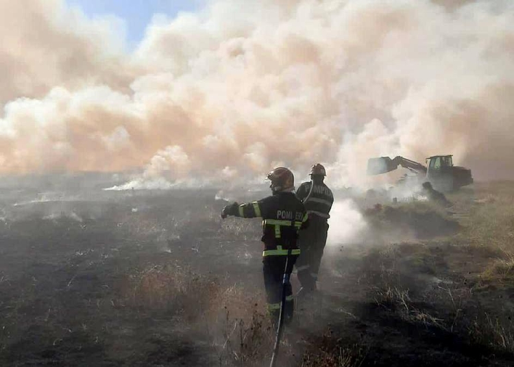 interventii in judetele afectate de incendii riscul de extindere a focului este foarte mare din cauza vantului si a vegetatiei uscate 67cdb209805e1