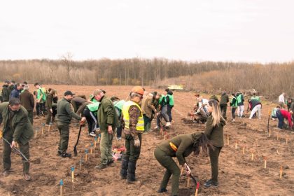 romsilva planteaza 19 milioane de puieti forestieri in campania de impaduriri de primavara 67d4392158d76