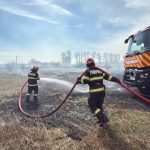 video incendiu de vegetatie uscata in delta dunarii 67d96318e90a5